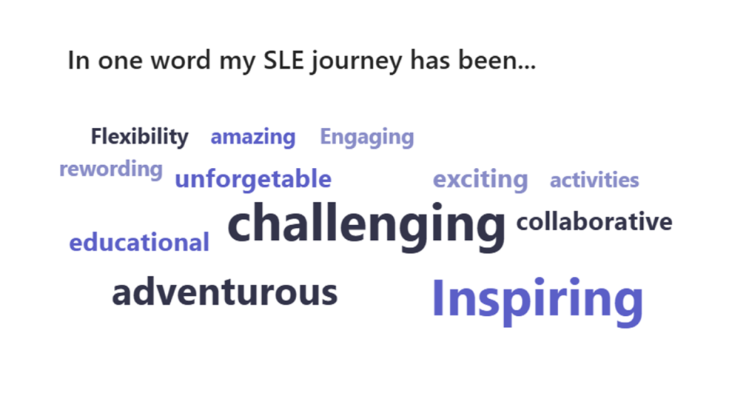 Reflecting on the Journey: 2nd SLEs Reflection Workshop – Mature Phase 